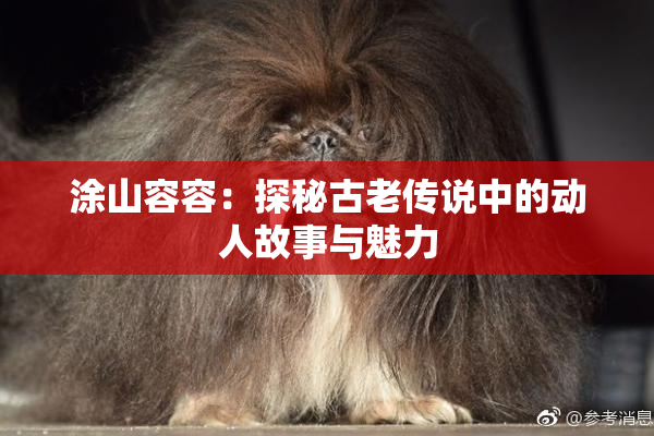 涂山容容：探秘古老传说中的动人故事与魅力