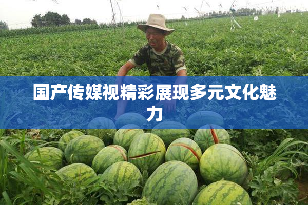 国产传媒视精彩展现多元文化魅力
