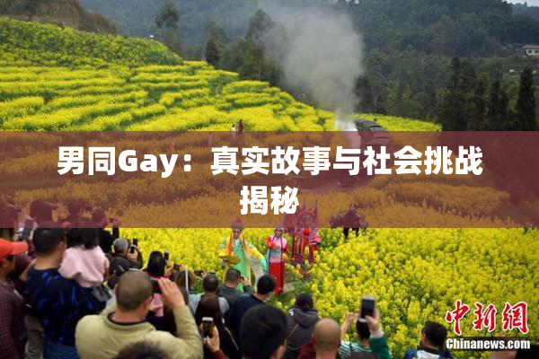 男同Gay：真实故事与社会挑战揭秘