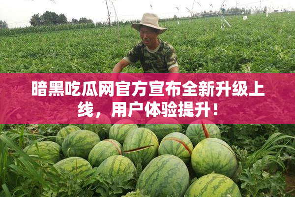 暗黑吃瓜网官方宣布全新升级上线，用户体验提升！
