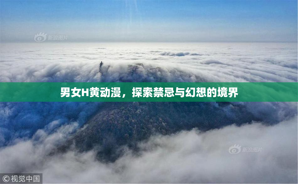 男女H黄动漫，探索禁忌与幻想的境界