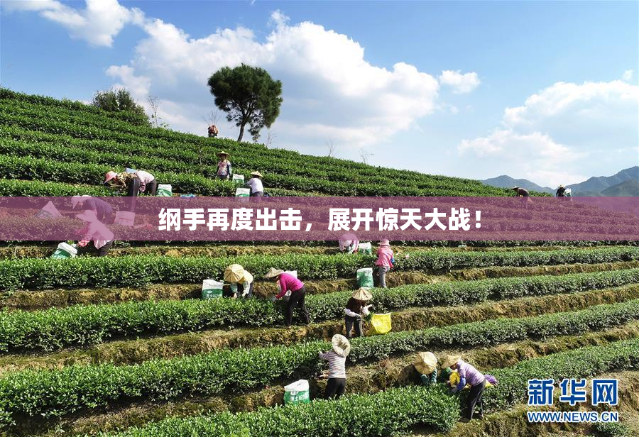 纲手再度出击，展开惊天大战！