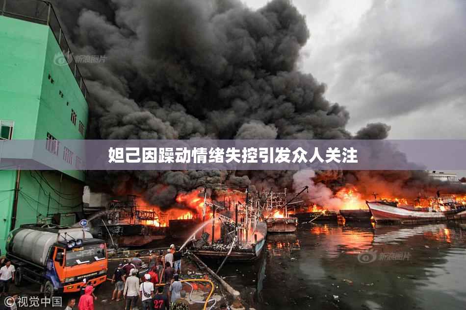 妲己因躁动情绪失控引发众人关注