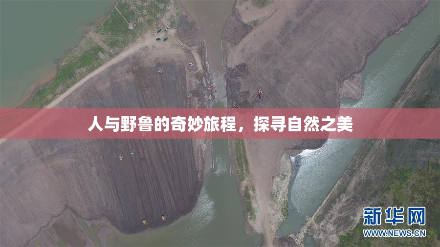人与野鲁的奇妙旅程，探寻自然之美