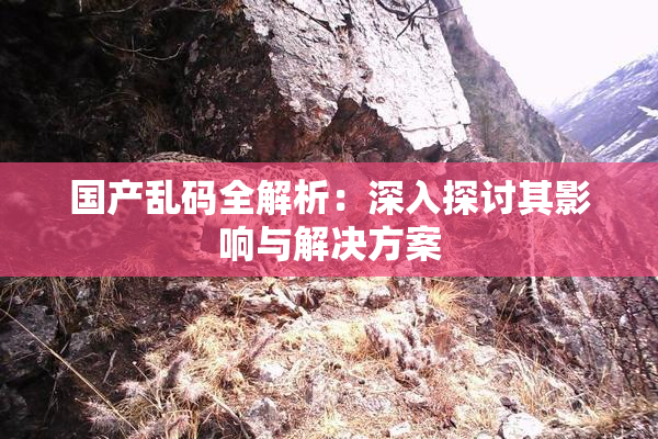 国产乱码全解析：深入探讨其影响与解决方案