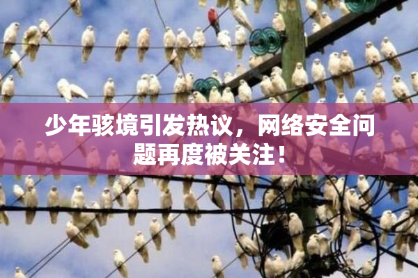 少年骇境引发热议，网络安全问题再度被关注！