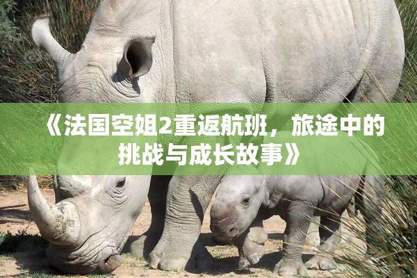 《法国空姐2重返航班，旅途中的挑战与成长故事》