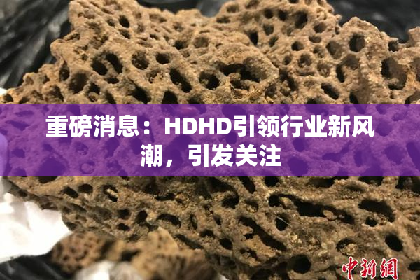 重磅消息：HDHD引领行业新风潮，引发关注