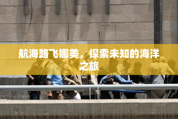 航海路飞娜美，探索未知的海洋之旅