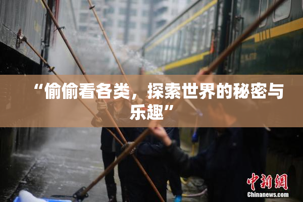 “偷偷看各类，探索世界的秘密与乐趣”