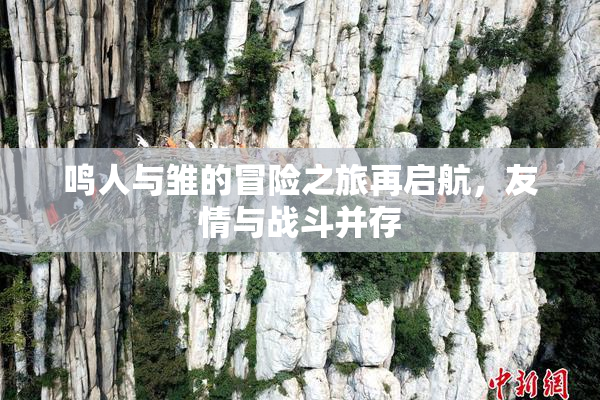 鸣人与雏的冒险之旅再启航，友情与战斗并存