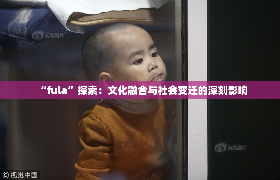 “fula”探索：文化融合与社会变迁的深刻影响