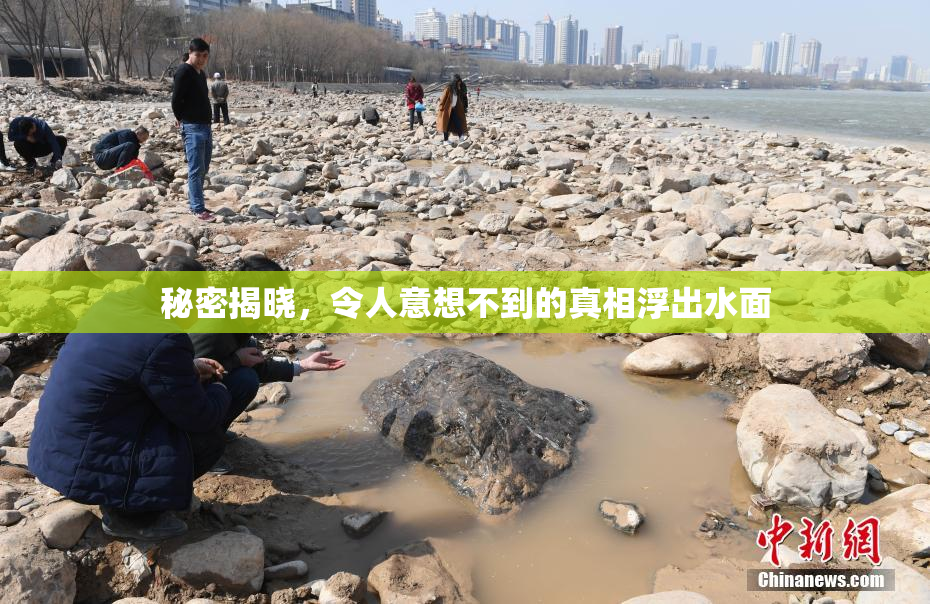 秘密揭晓，令人意想不到的真相浮出水面
