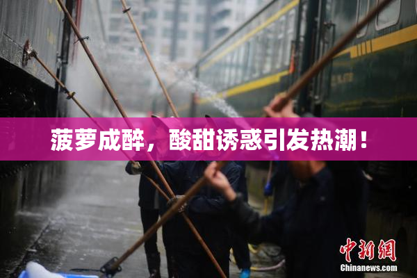 菠萝成醉，酸甜诱惑引发热潮！