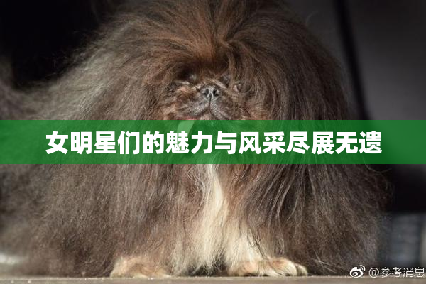 女明星们的魅力与风采尽展无遗