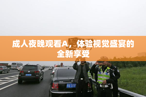 成人夜晚观看A，体验视觉盛宴的全新享受