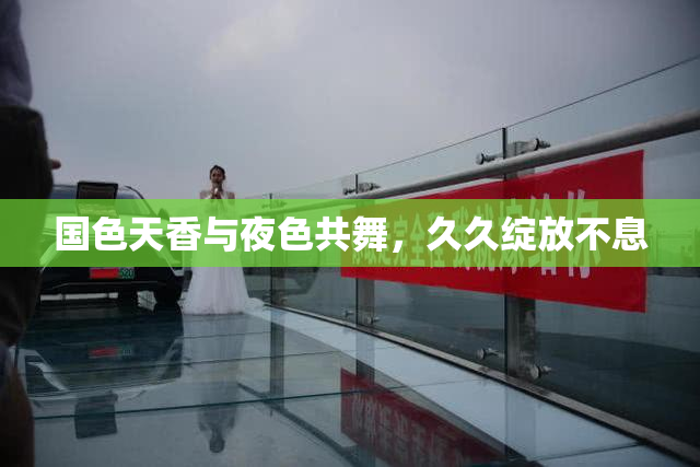 国色天香与夜色共舞，久久绽放不息