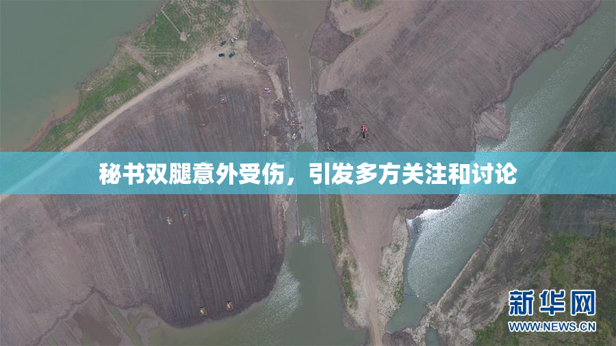 秘书双腿意外受伤，引发多方关注和讨论
