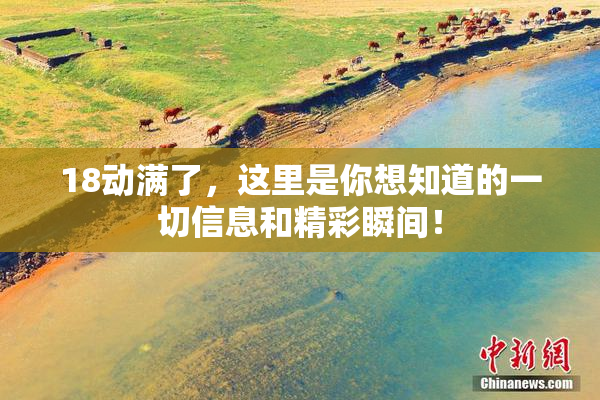 18动满了，这里是你想知道的一切信息和精彩瞬间！