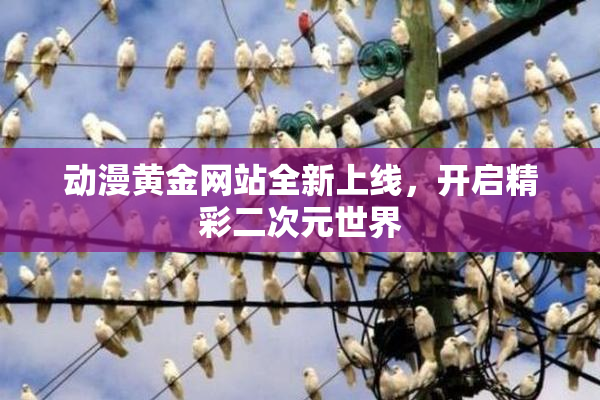 动漫黄金网站全新上线，开启精彩二次元世界