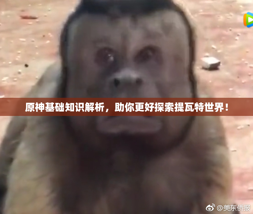 原神基础知识解析，助你更好探索提瓦特世界！