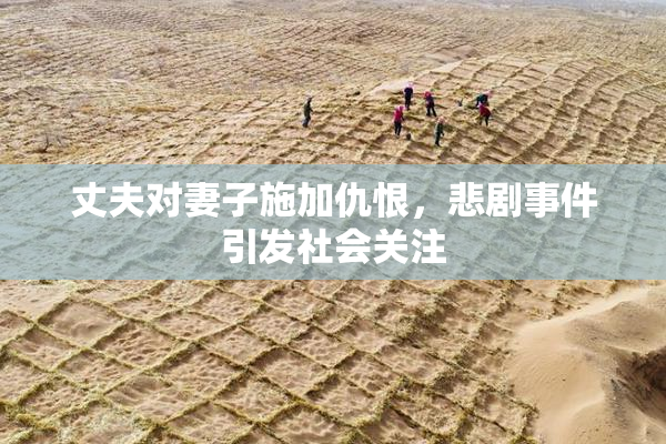 丈夫对妻子施加仇恨，悲剧事件引发社会关注