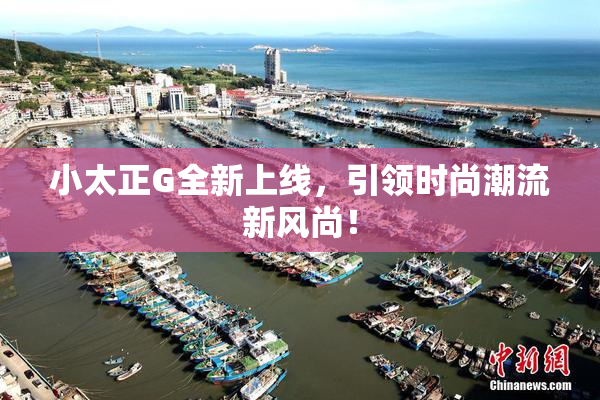 小太正G全新上线，引领时尚潮流新风尚！