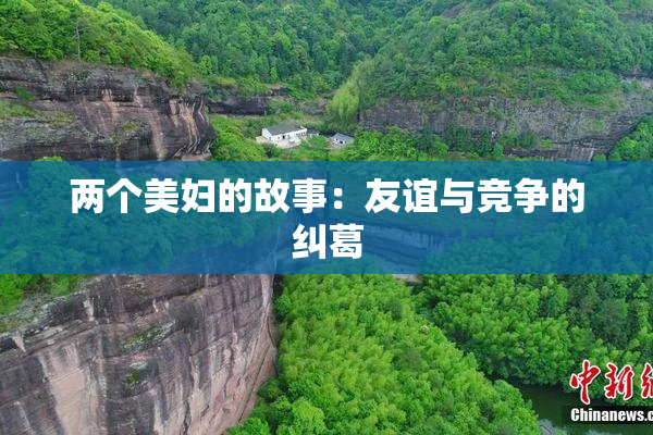 两个美妇的故事：友谊与竞争的纠葛