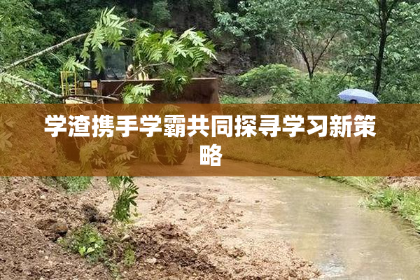 学渣携手学霸共同探寻学习新策略