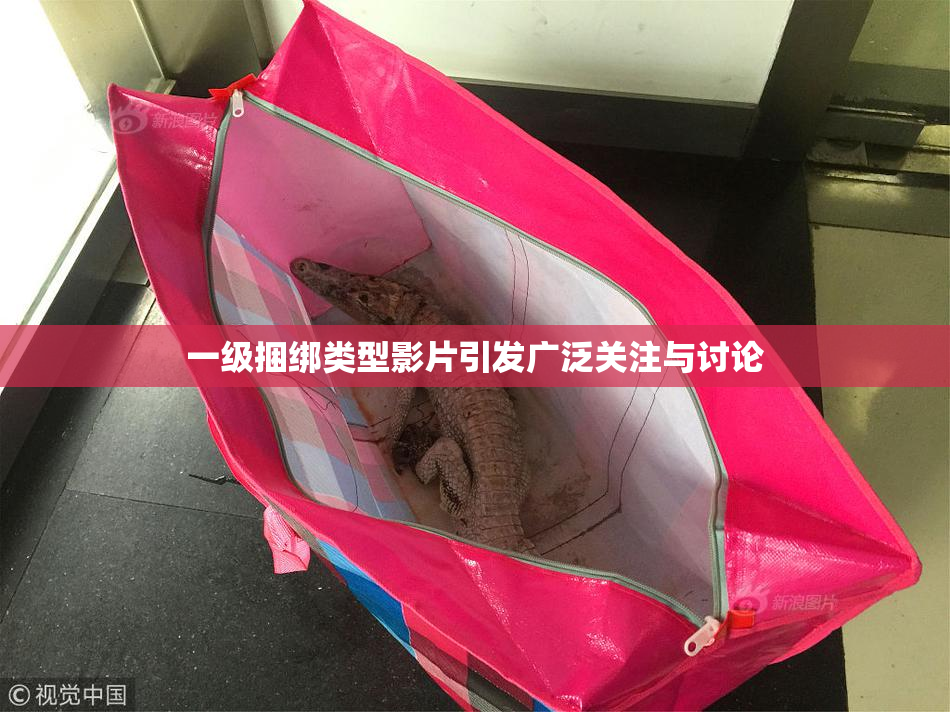 一级捆绑类型影片引发广泛关注与讨论