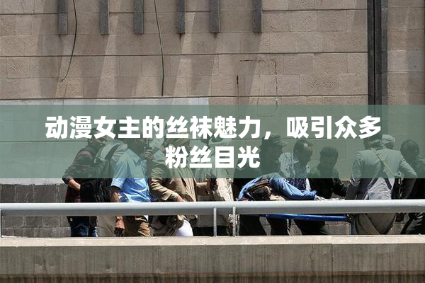 动漫女主的丝袜魅力，吸引众多粉丝目光
