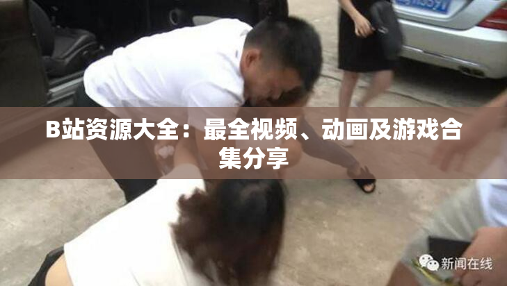 B站资源大全：最全视频、动画及游戏合集分享