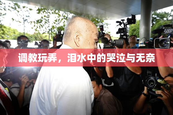 调教玩弄，泪水中的哭泣与无奈