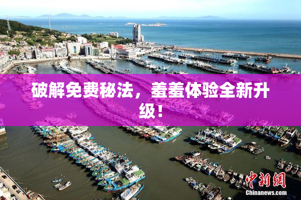 破解免费秘法，羞羞体验全新升级！