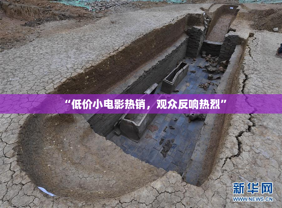 “低价小电影热销，观众反响热烈”