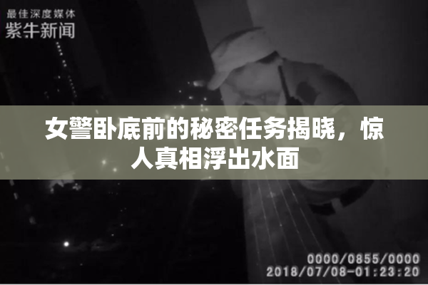 女警卧底前的秘密任务揭晓，惊人真相浮出水面