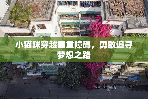 小猫咪穿越重重障碍，勇敢追寻梦想之路