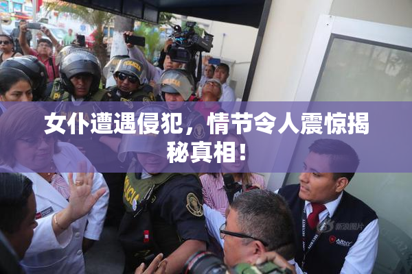 女仆遭遇侵犯，情节令人震惊揭秘真相！