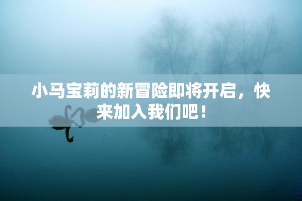 小马宝莉的新冒险即将开启，快来加入我们吧！