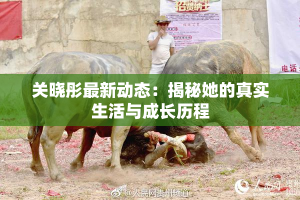关晓彤最新动态：揭秘她的真实生活与成长历程