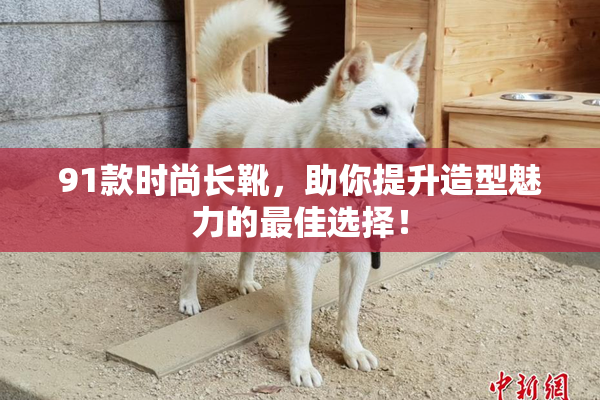 91款时尚长靴，助你提升造型魅力的最佳选择！