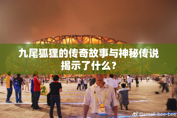 九尾狐狸的传奇故事与神秘传说揭示了什么？