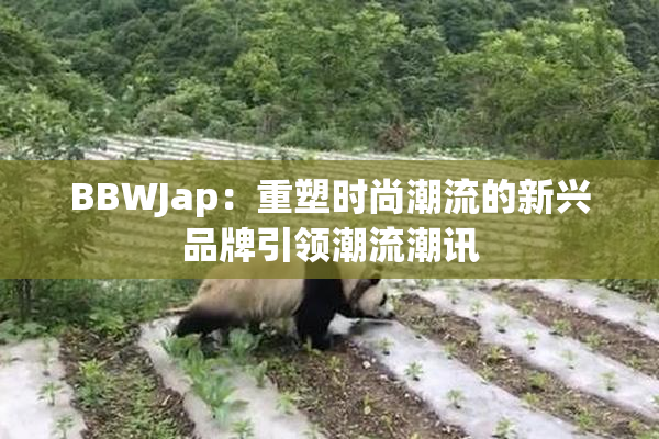 BBWJap：重塑时尚潮流的新兴品牌引领潮流潮讯