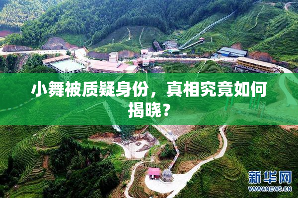 小舞被质疑身份，真相究竟如何揭晓？