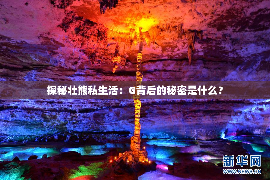 探秘壮熊私生活：G背后的秘密是什么？