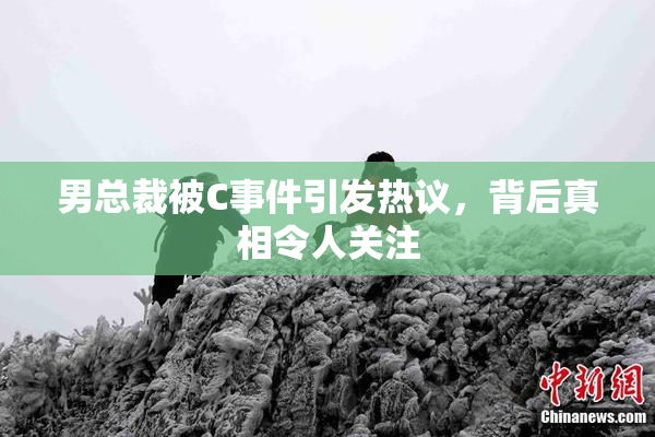 男总裁被C事件引发热议，背后真相令人关注