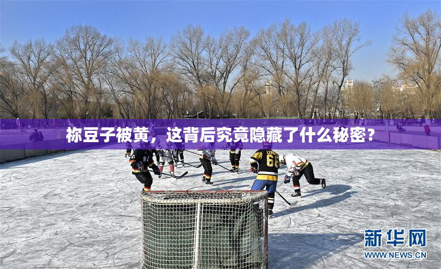 祢豆子被黄，这背后究竟隐藏了什么秘密？