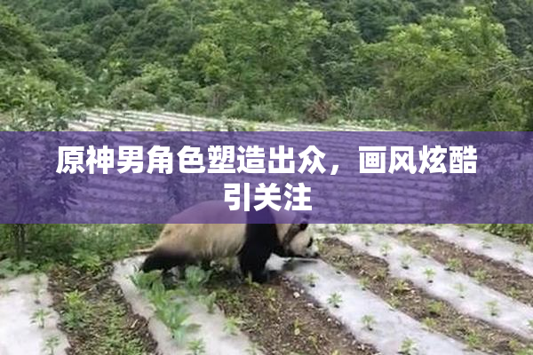 原神男角色塑造出众，画风炫酷引关注
