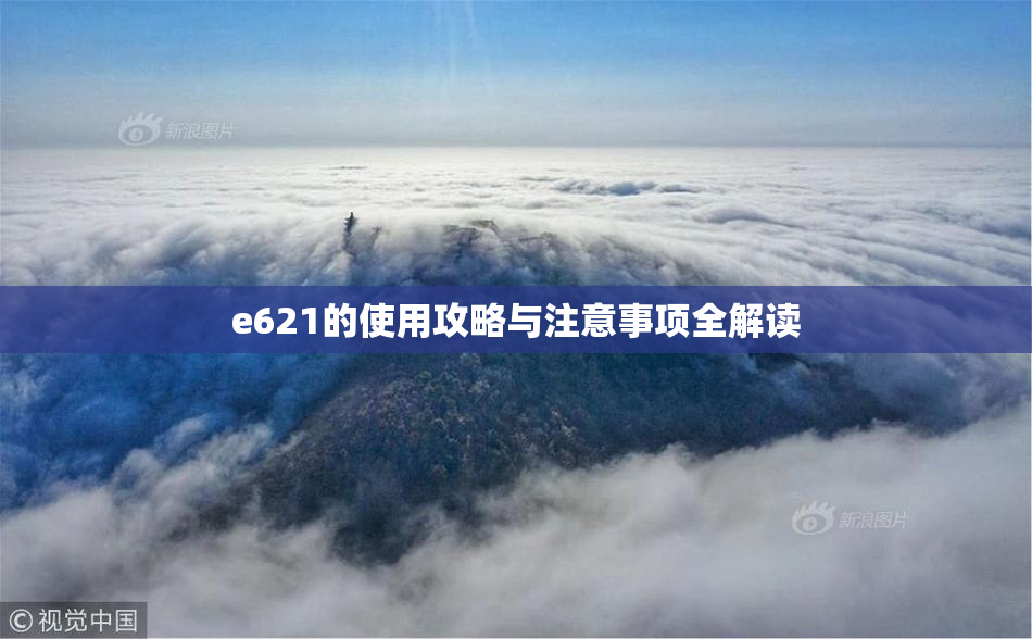 e621的使用攻略与注意事项全解读