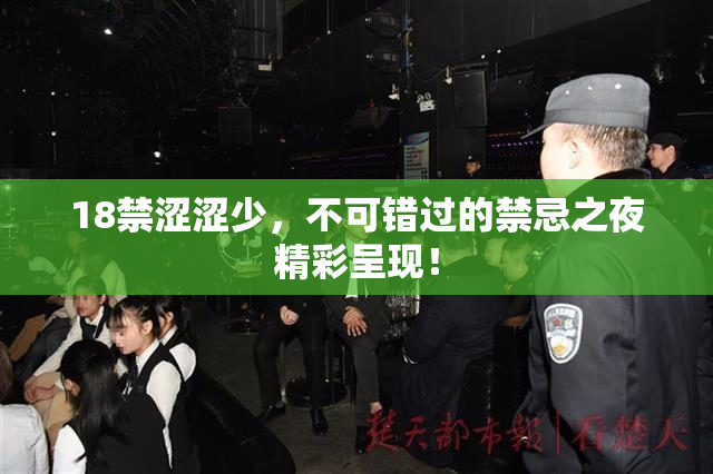 18禁涩涩少，不可错过的禁忌之夜精彩呈现！